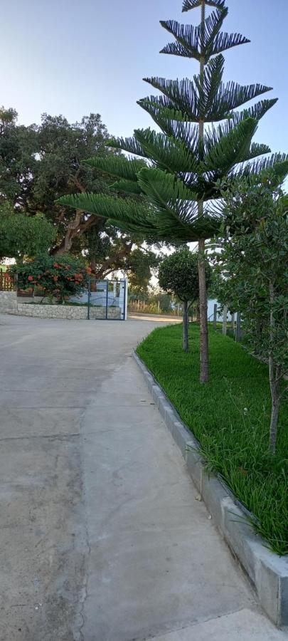فيلا Monte Da Vinha Nova Santiago do Cacém المظهر الخارجي الصورة